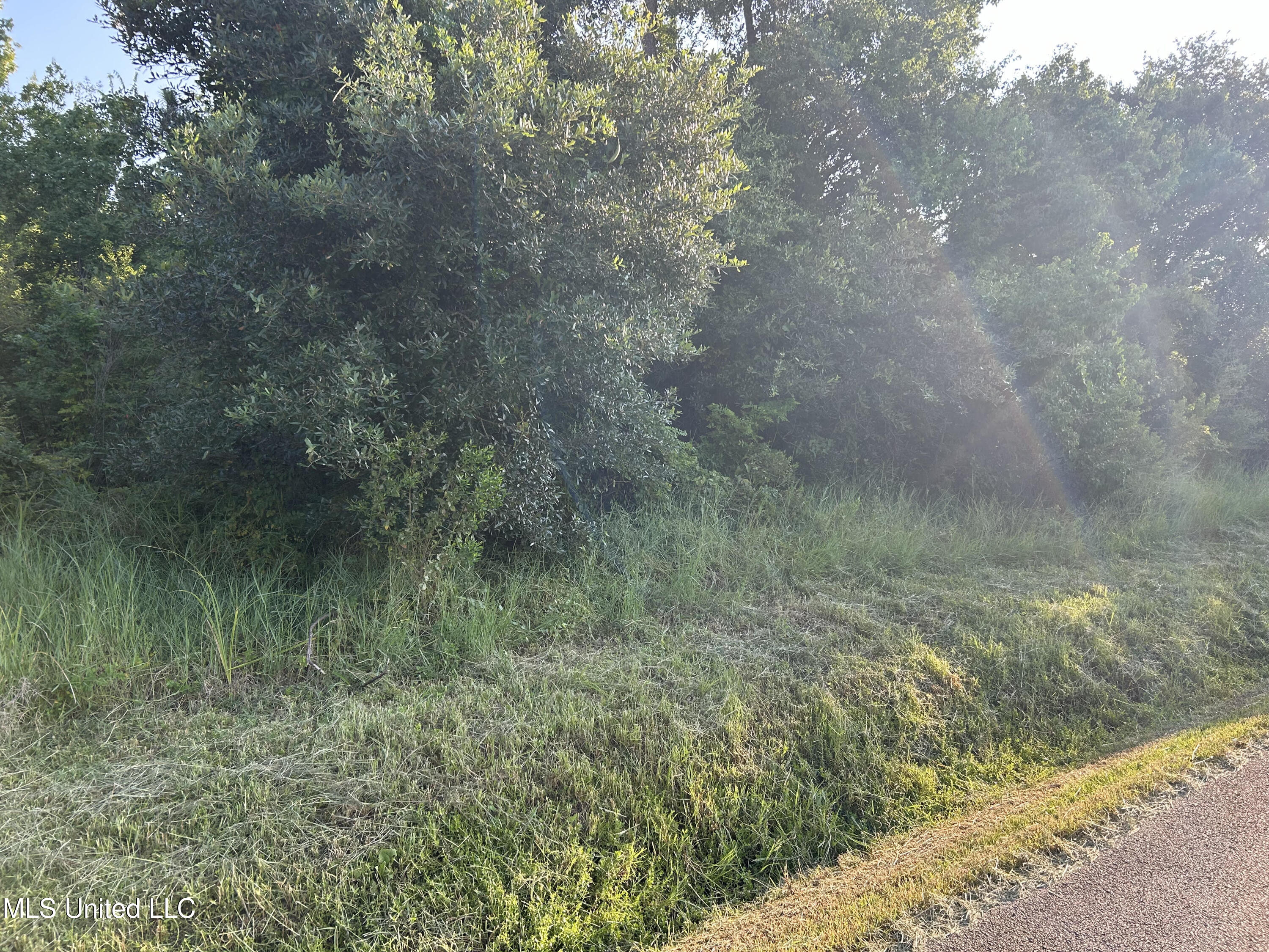 0 Jordan River Drive Property Photo 1
