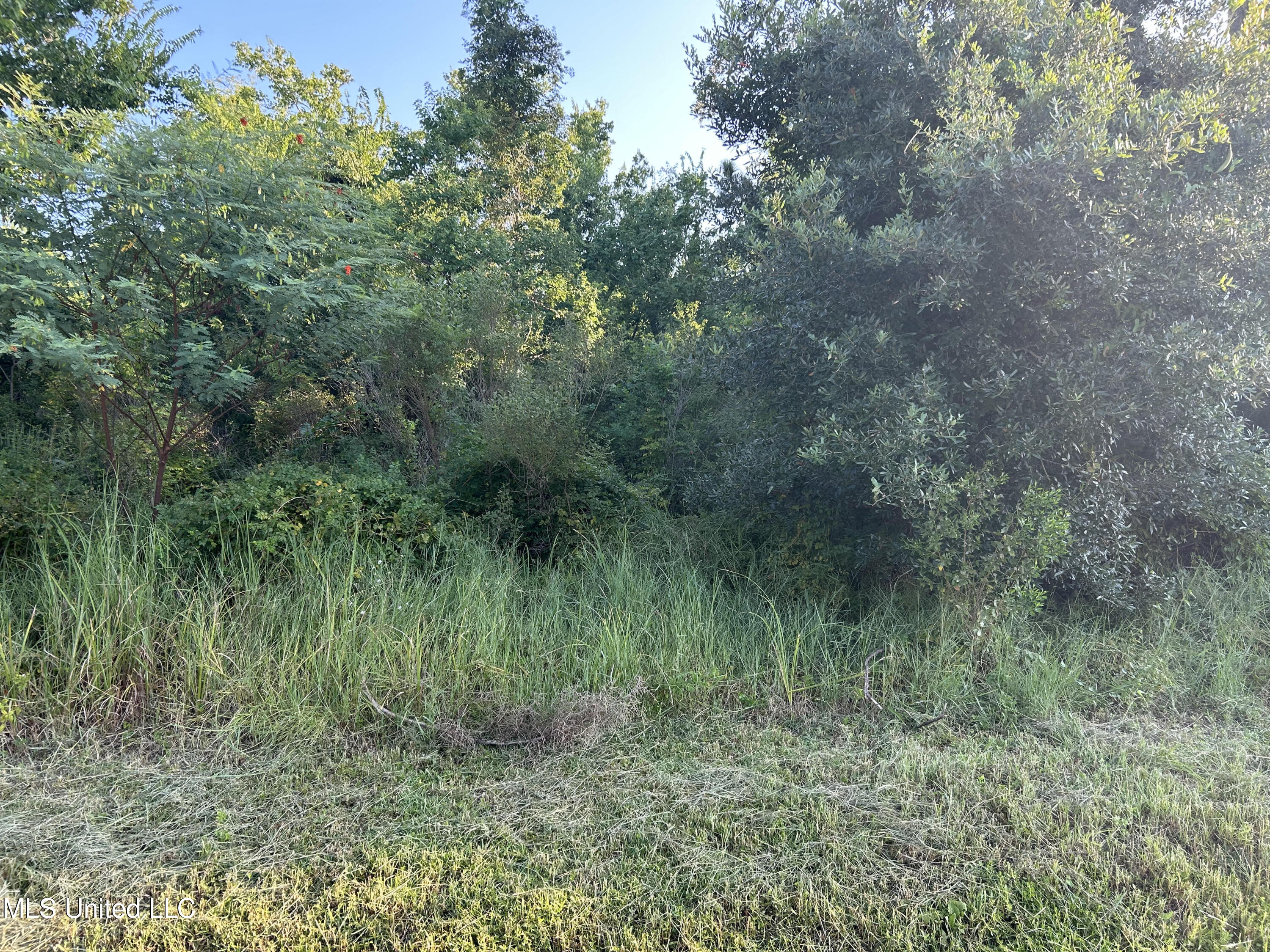 0 Jordan River Drive Property Photo 3