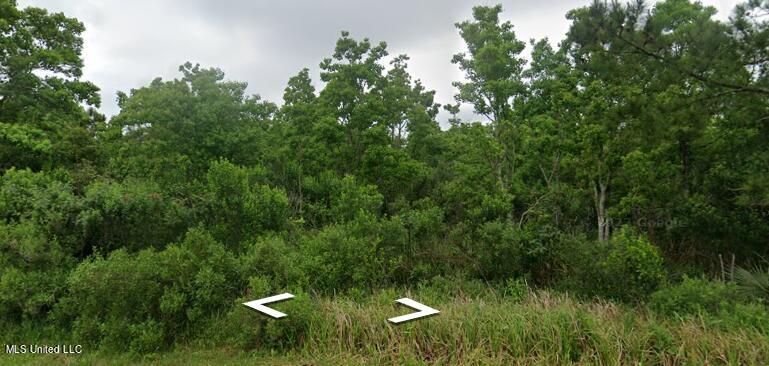 0 Jordan River Drive Property Photo 5