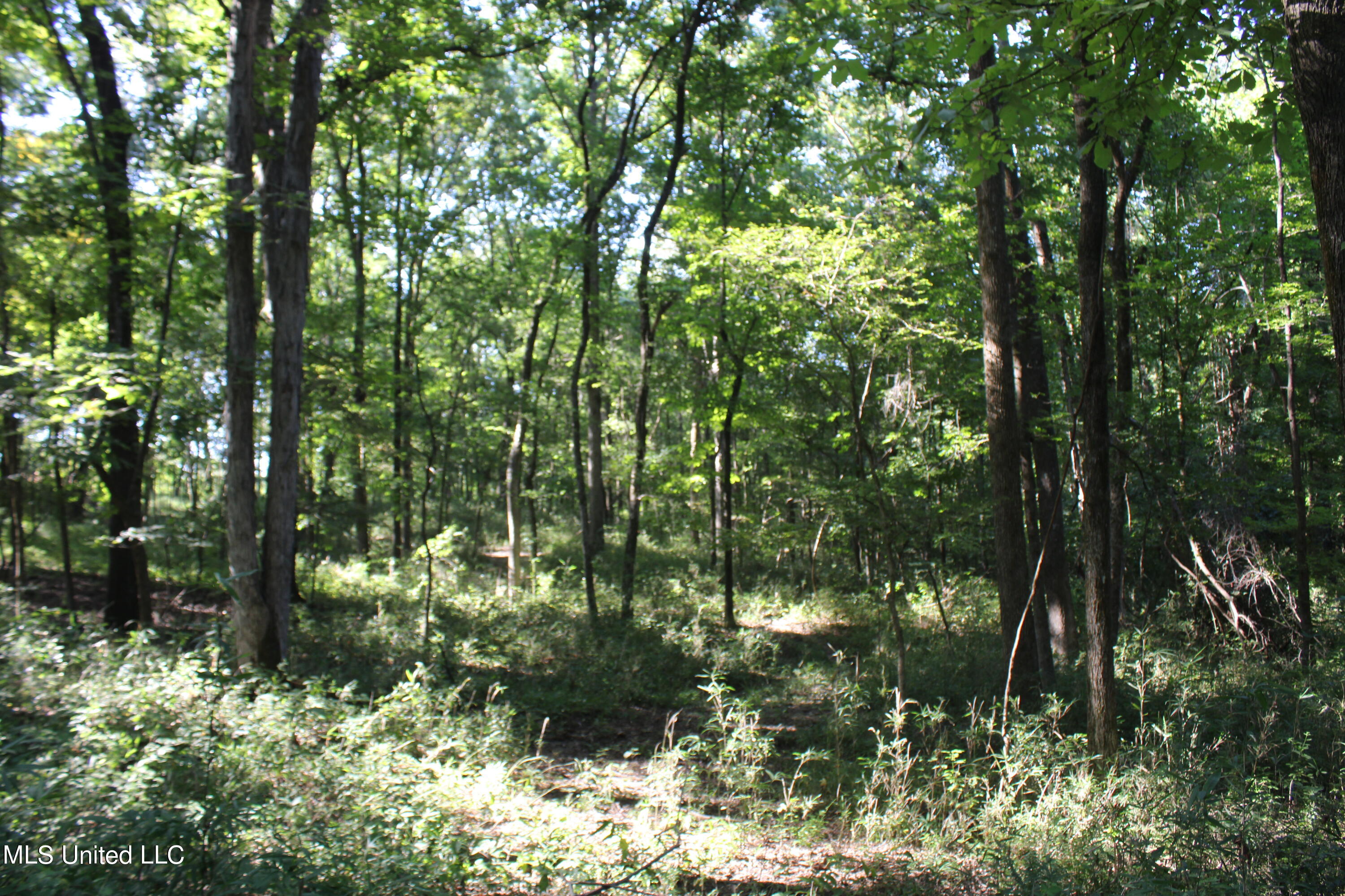 8420 Milne Way Property Photo 11