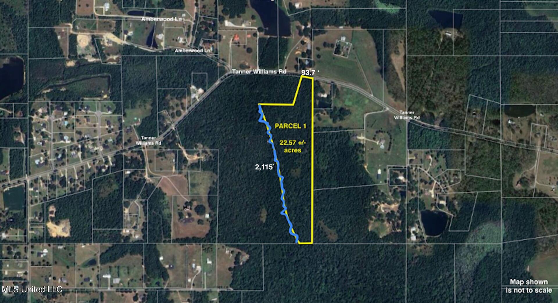 Tanner Williams Rd -parcel 1 Property Photo 2