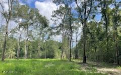 Tanner Williams Rd -parcel 1 Property Photo 3