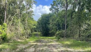 Tanner Williams Rd -parcel 1 Property Photo 4