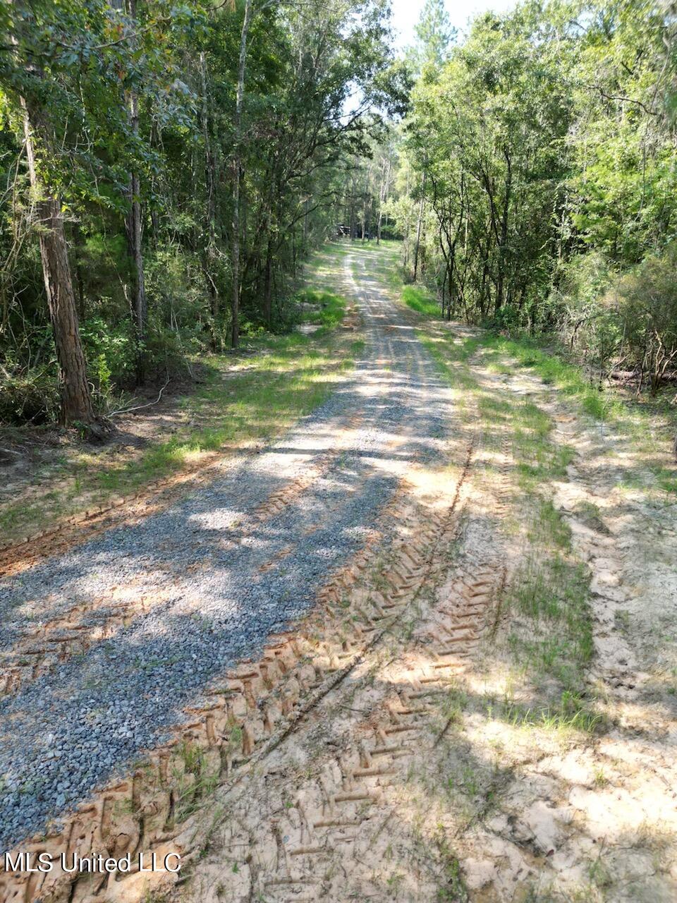 Tanner Williams Rd -parcel 1 Property Photo 8