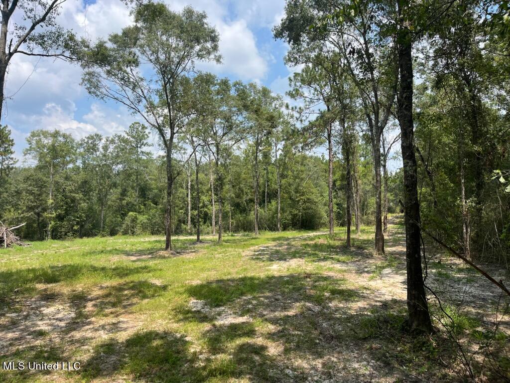 Tanner Williams Rd -parcel 1 Property Photo 9