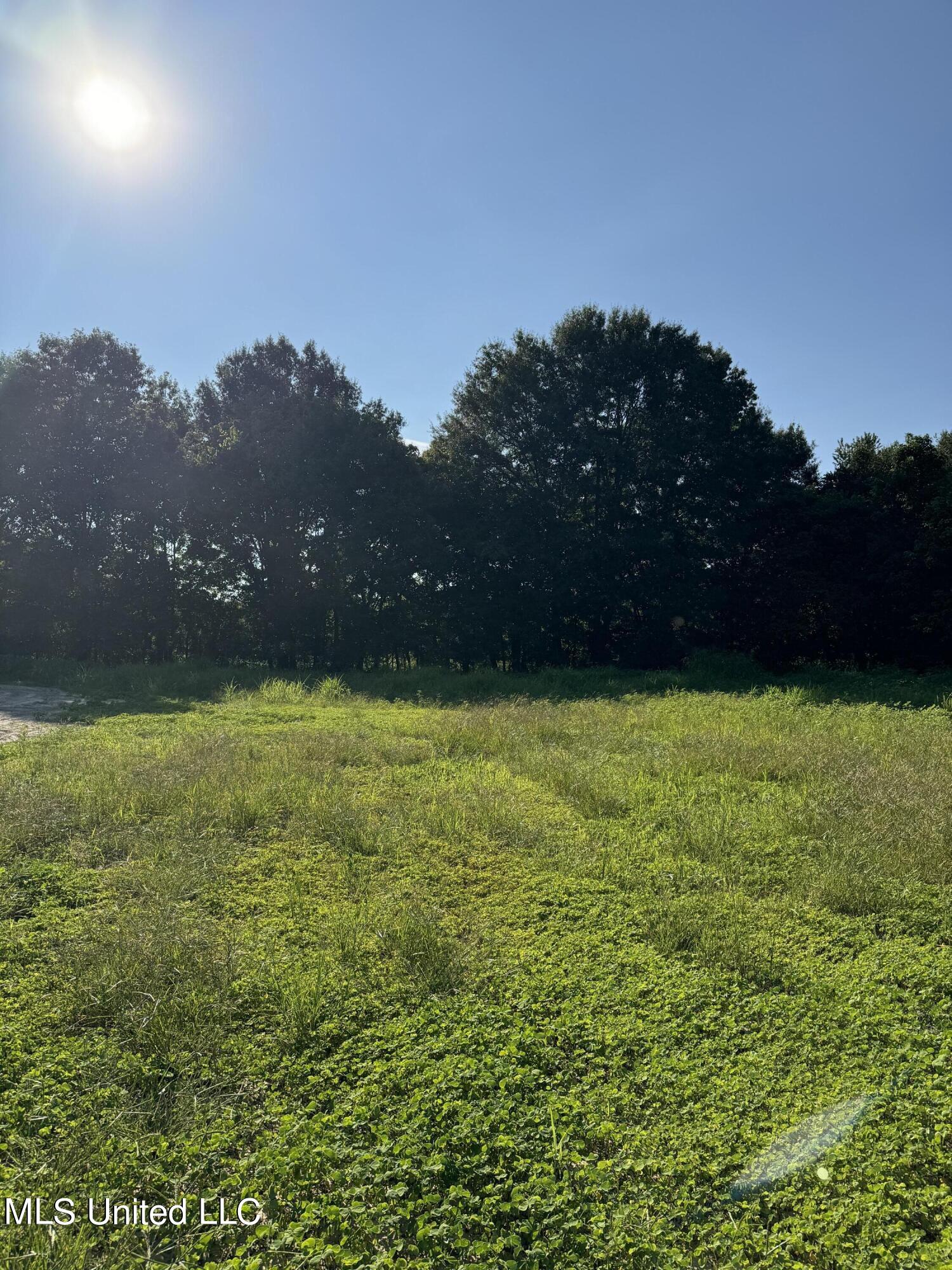 Holly Springs Road Property Photo 3
