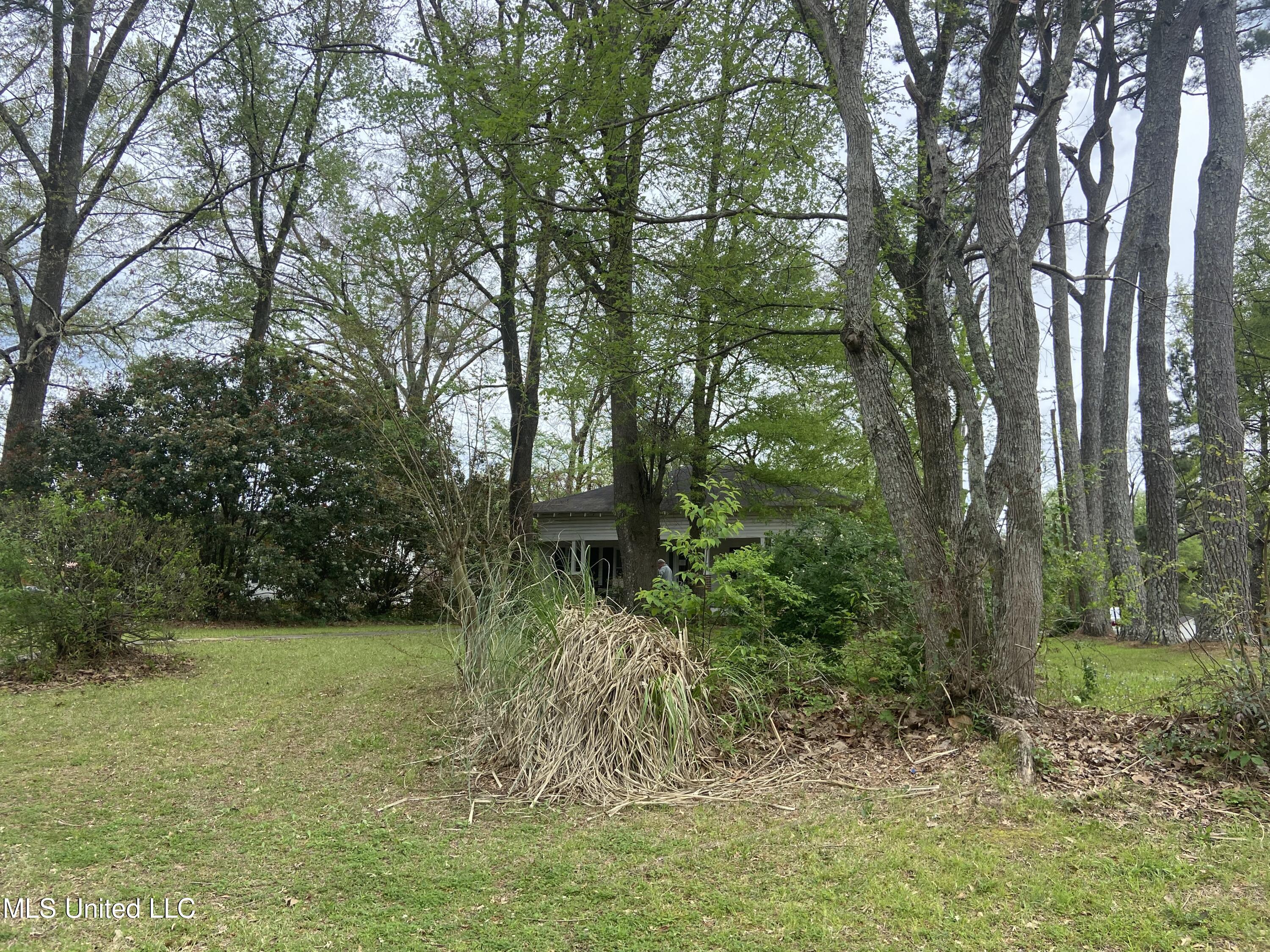702 E Jackson Road Property Photo 8