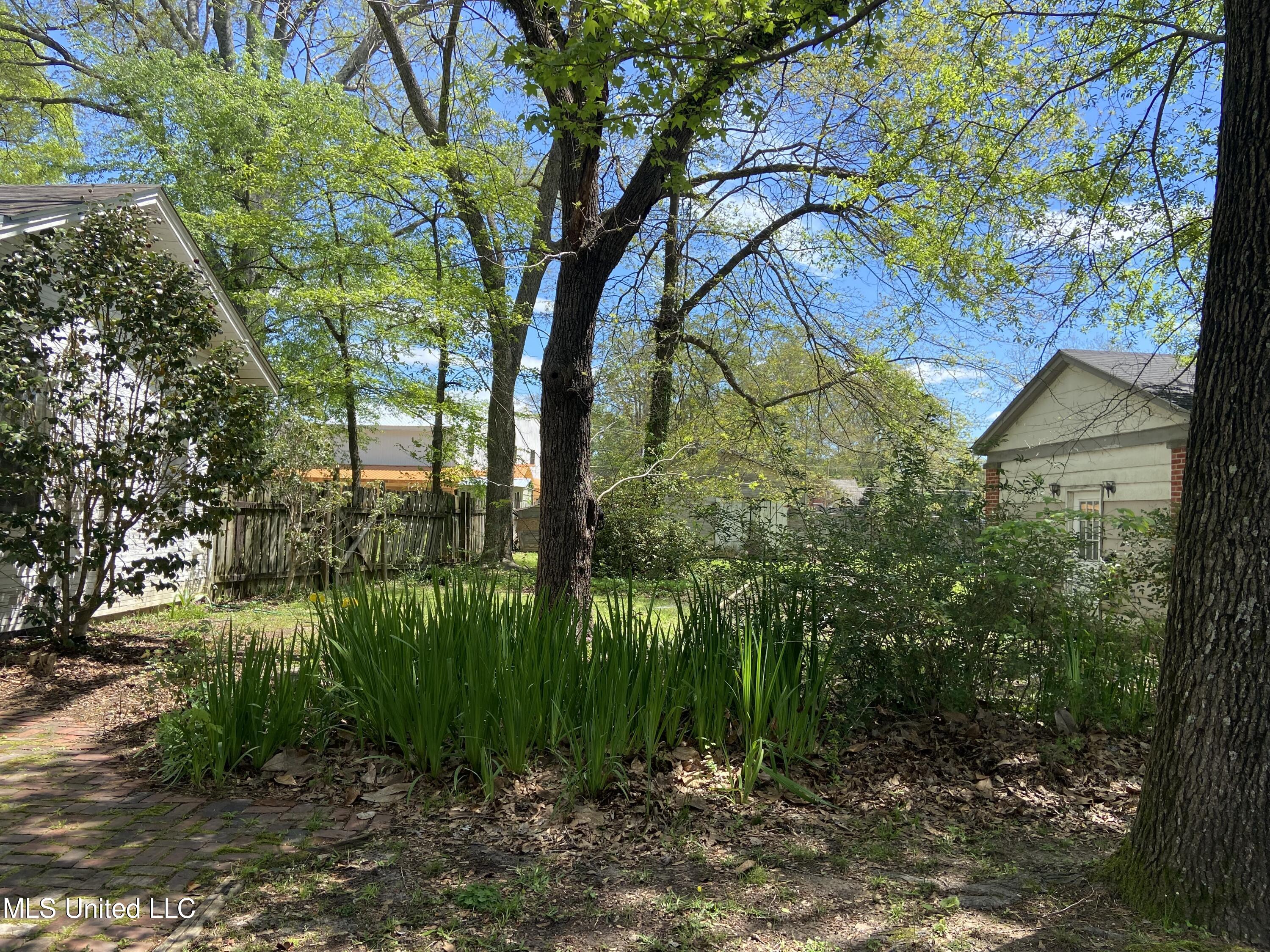 702 E Jackson Road Property Photo 10