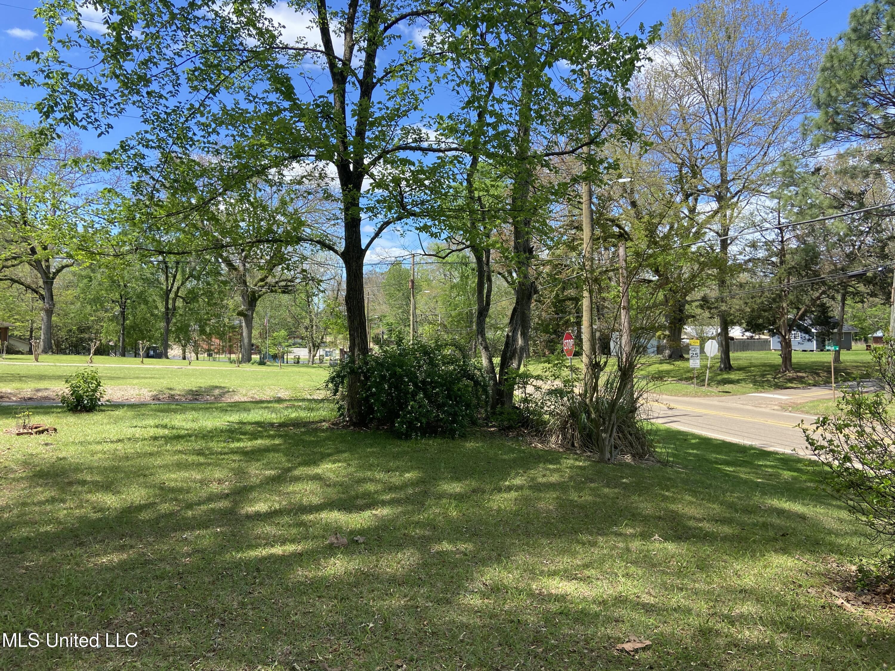 704 E Jackson Road Property Photo 6