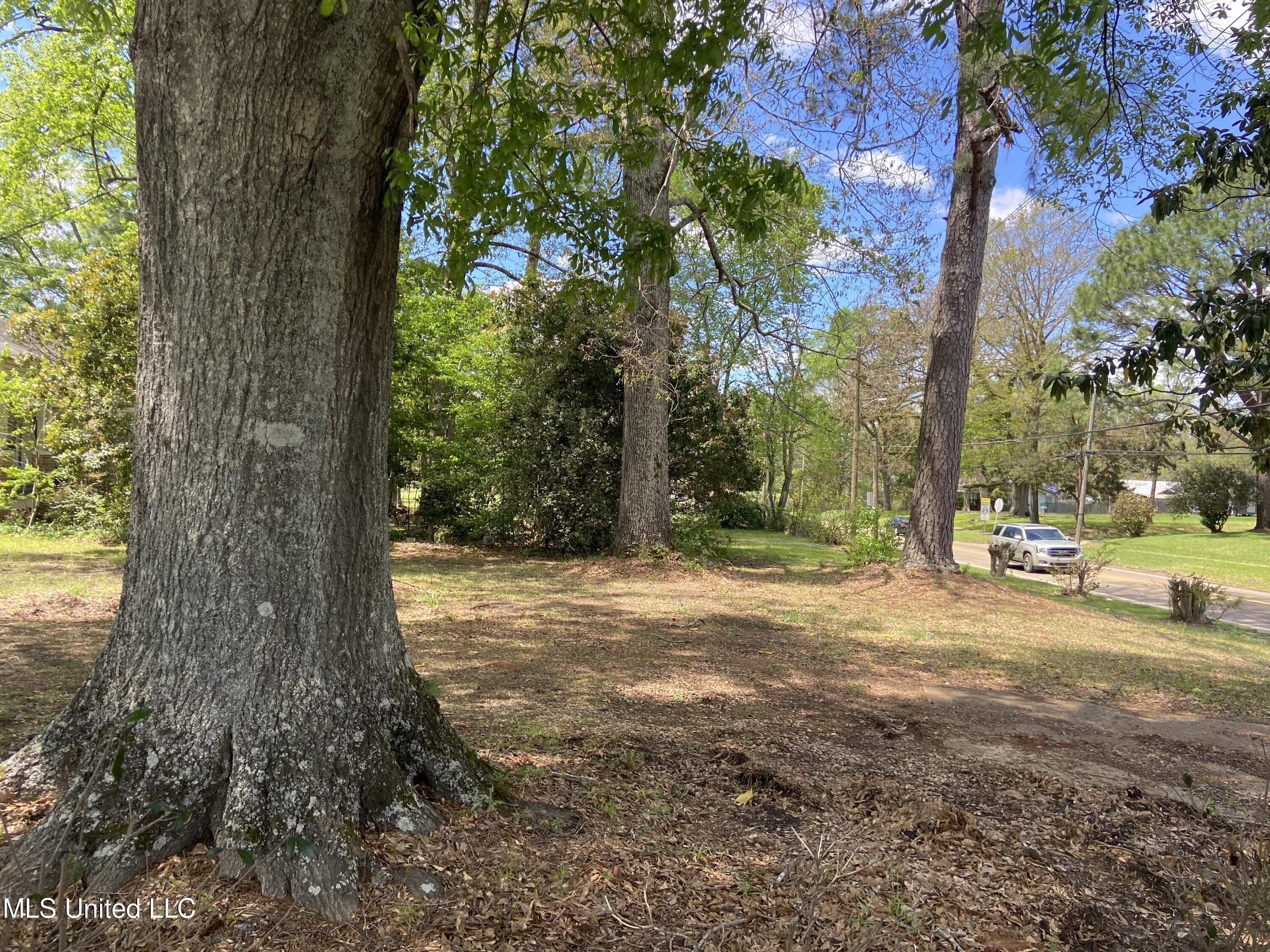 704 E Jackson Road Property Photo 7