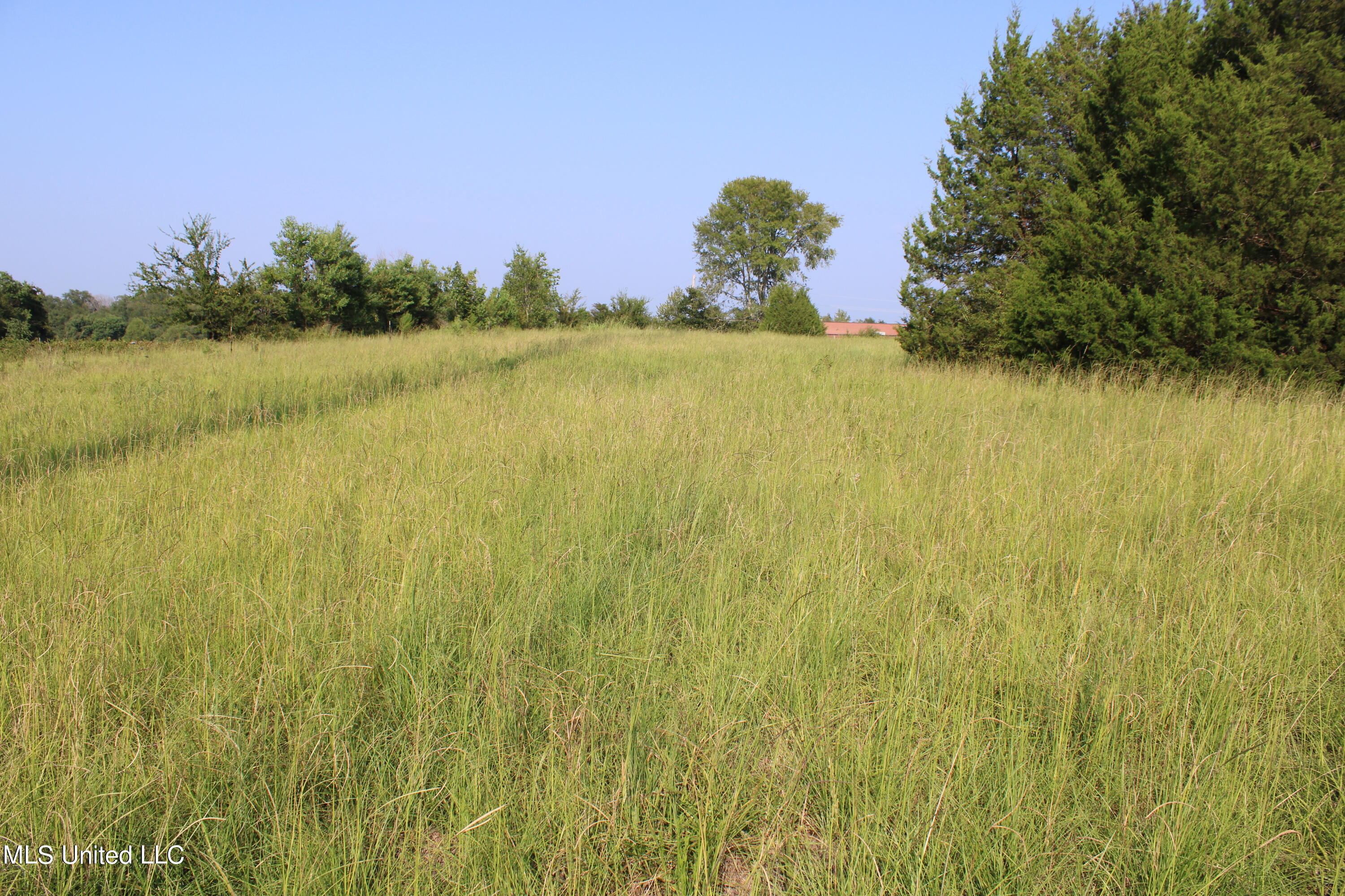 294 Yandell Road Property Photo 8