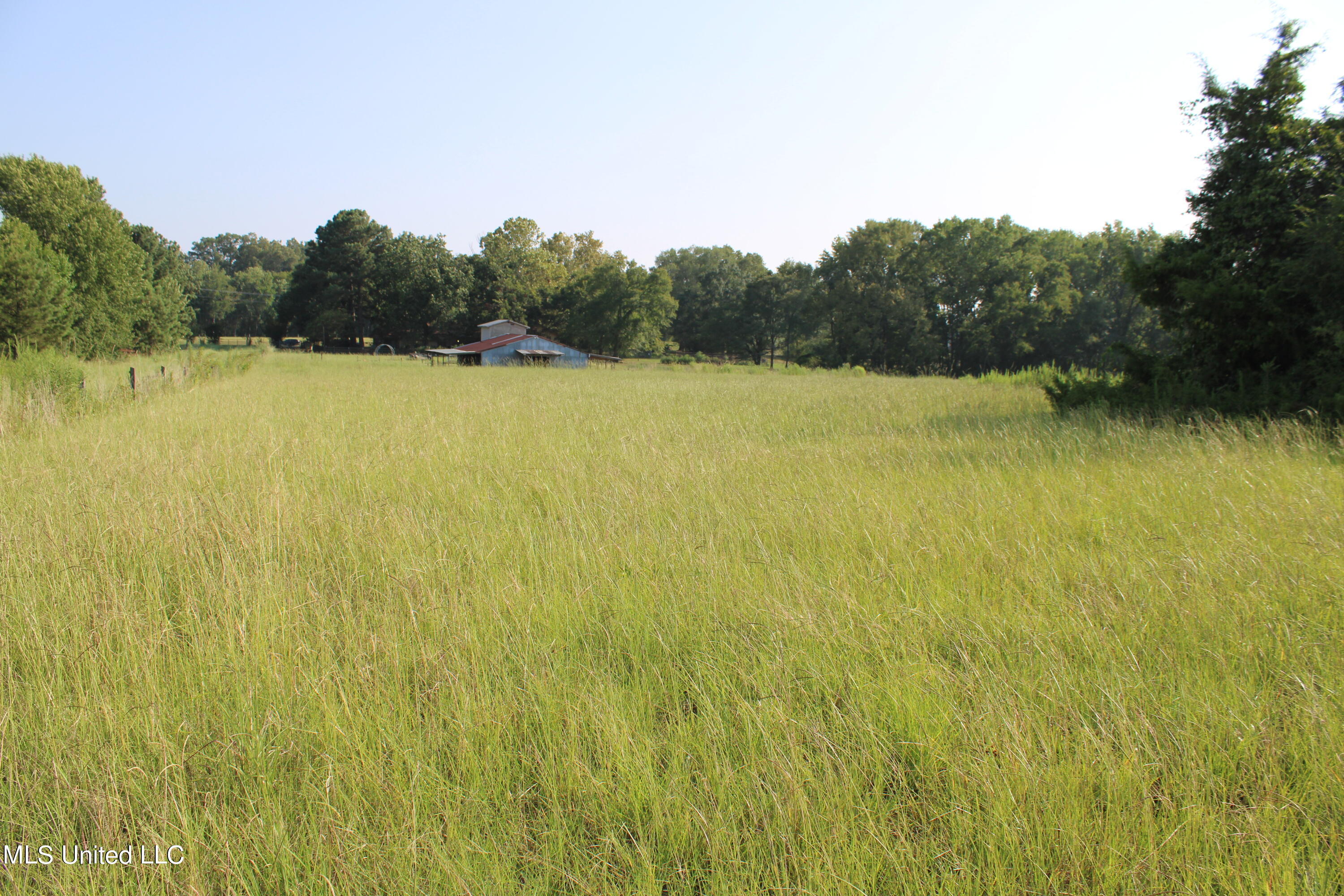 294 Yandell Road Property Photo 10