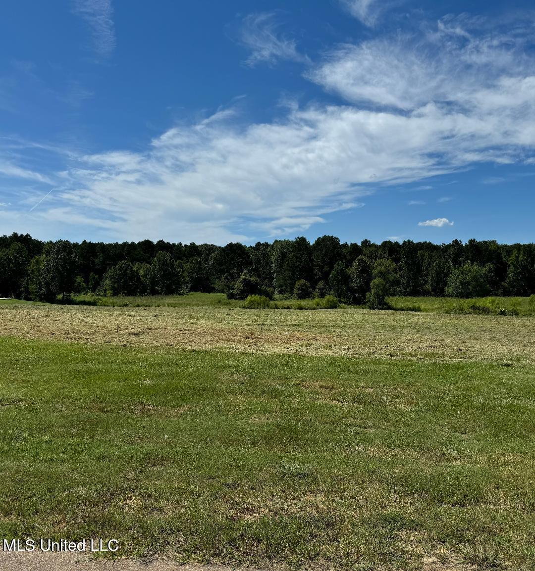 535 Clark Stables Road Property Photo 1