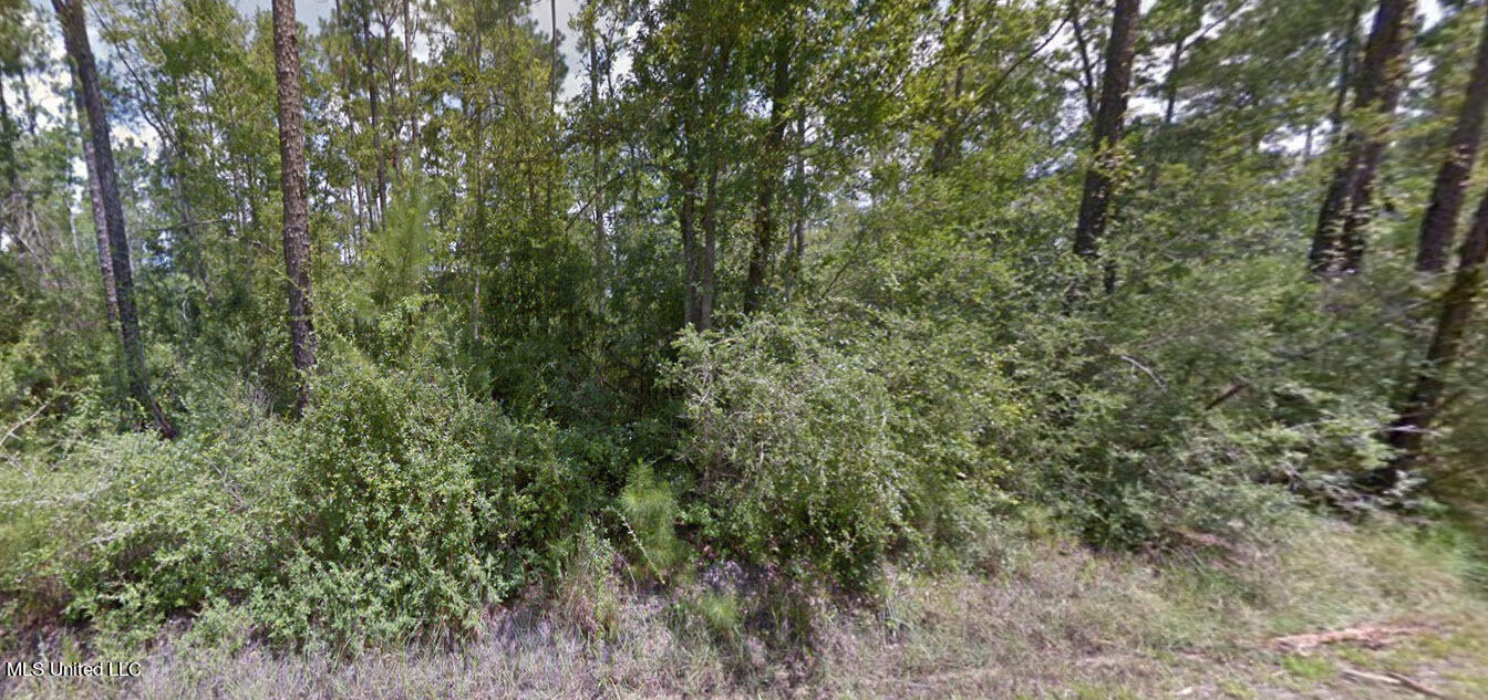 Seventh Street Property Photo 2