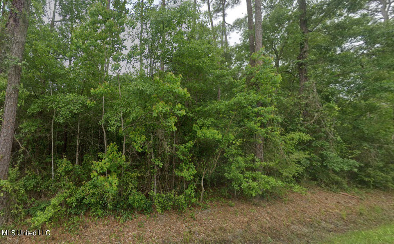 Seventh Street Property Photo 2