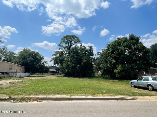 231 Dorries Street Property Photo 1