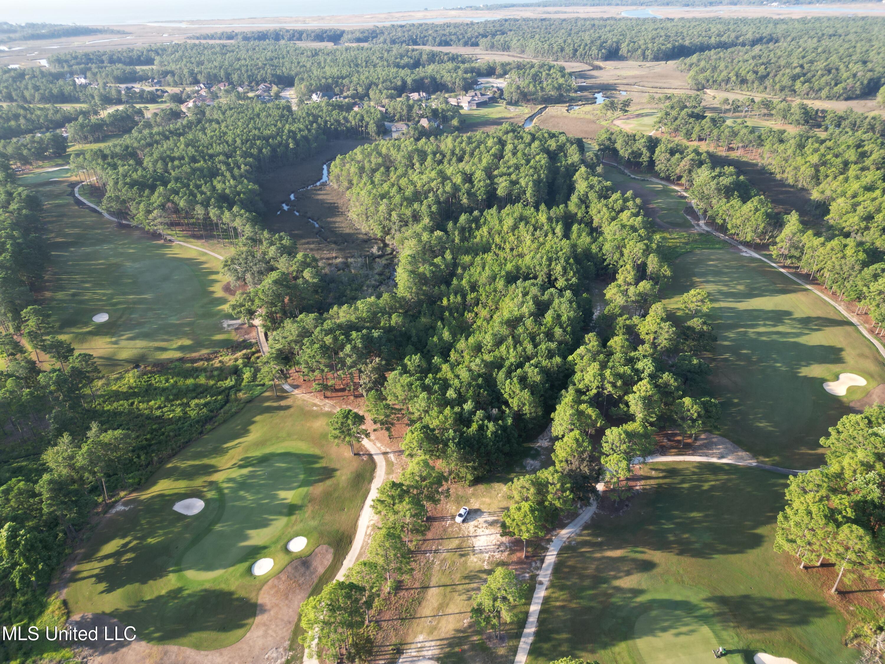 1007 Birdie Lane Property Photo 5