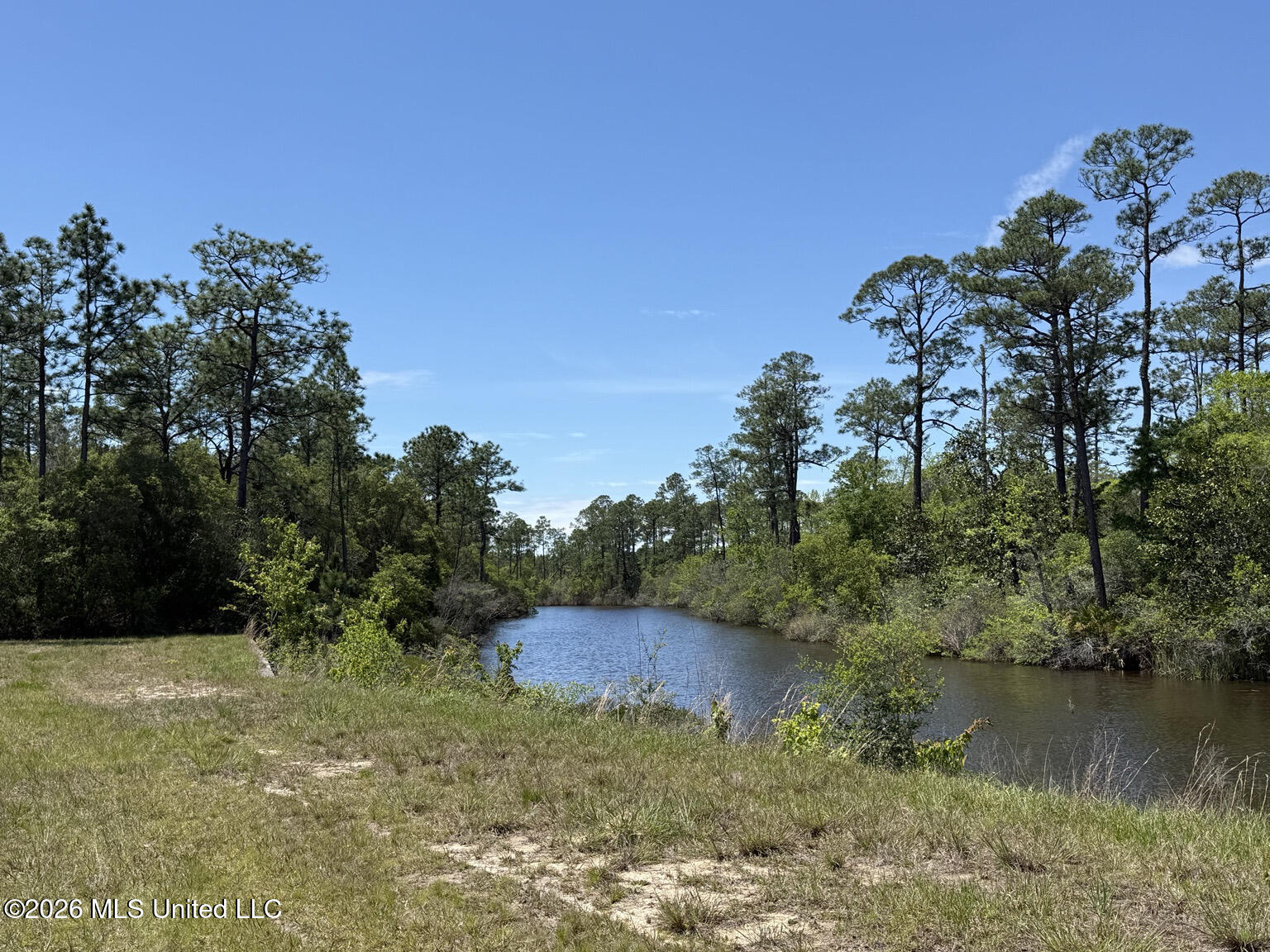 8301 Hwy 57 Property Photo 2