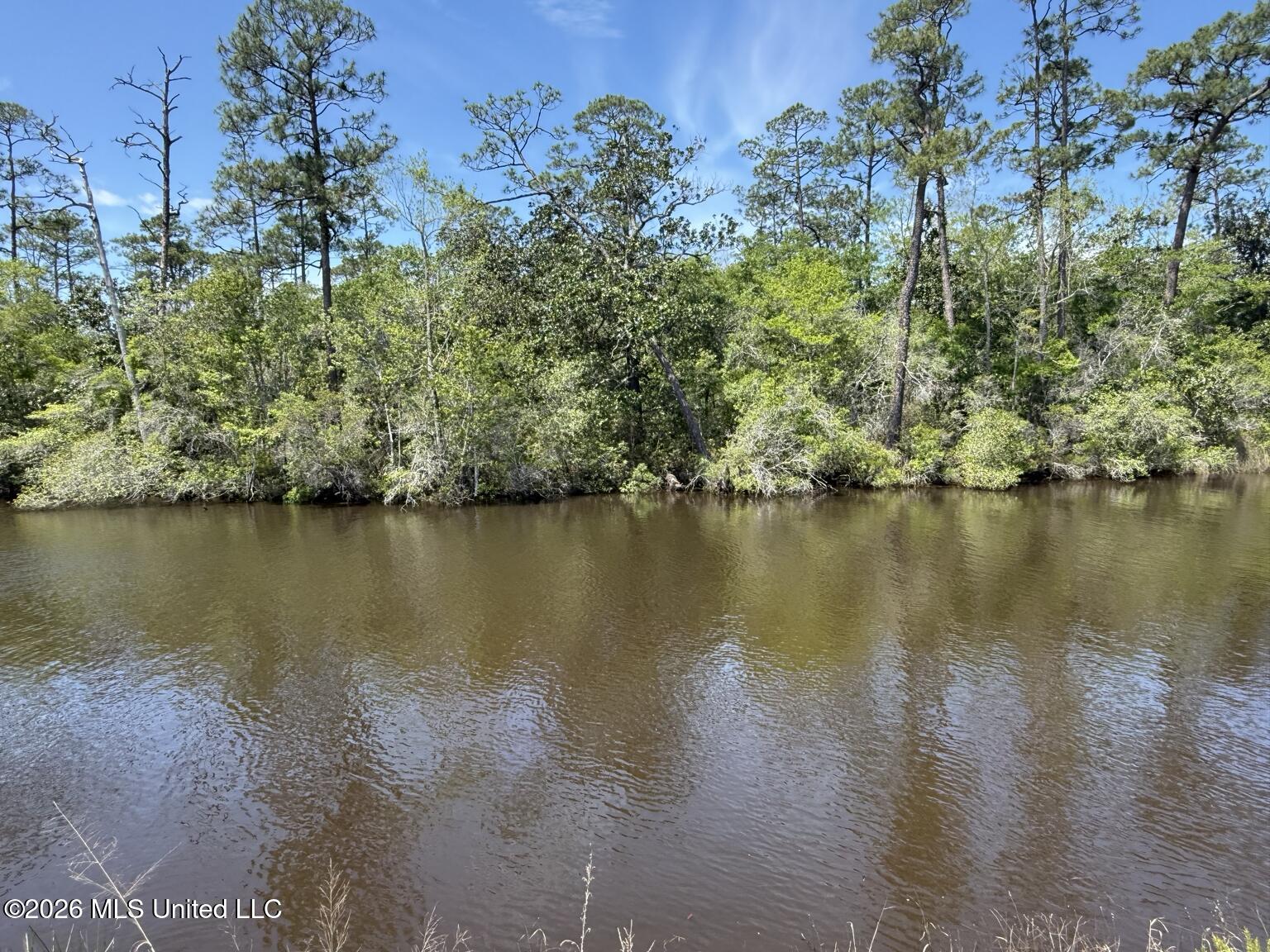8301 Hwy 57 Property Photo 6