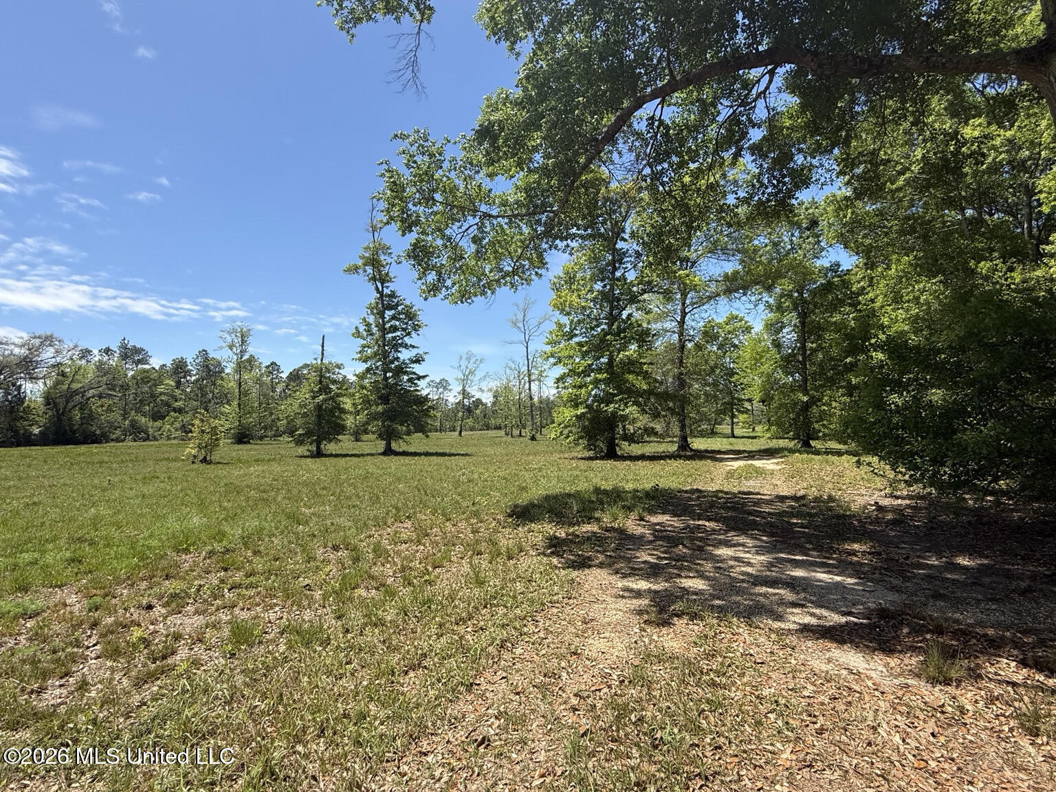 8301 Hwy 57 Property Photo 9