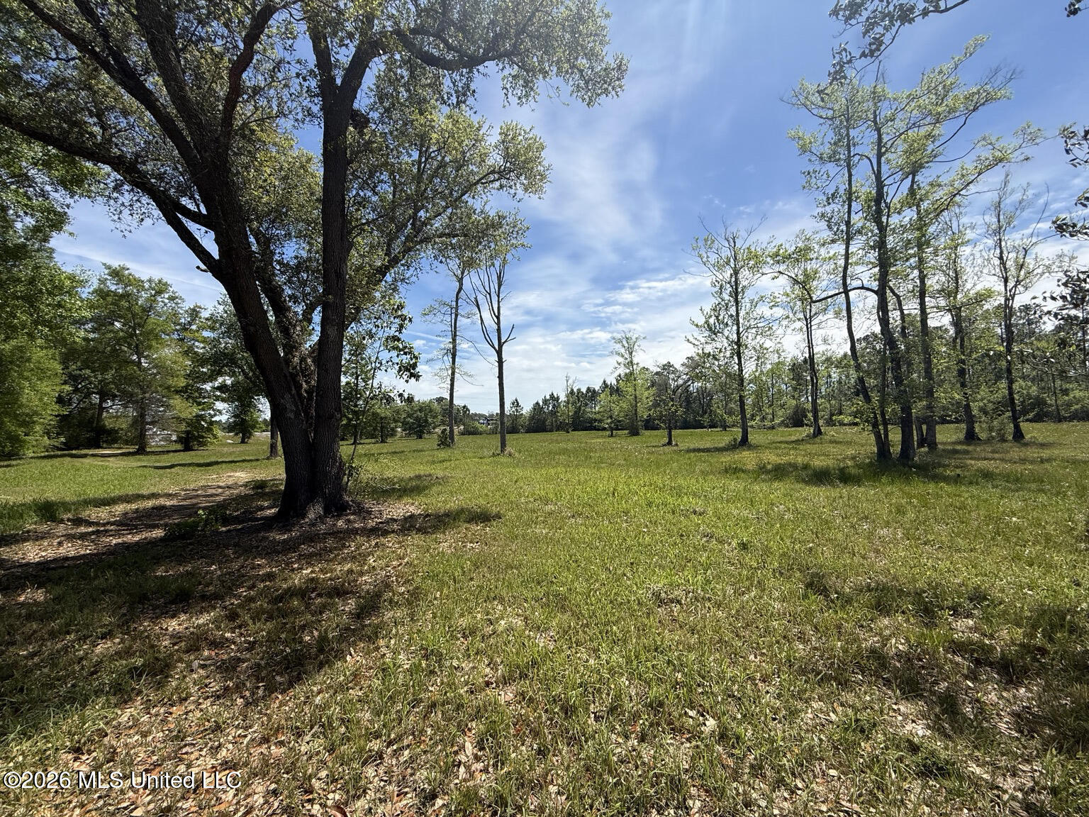 8301 Hwy 57 Property Photo 10