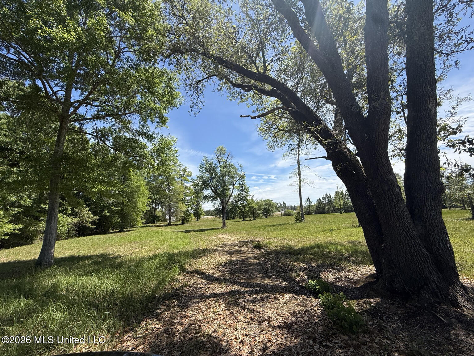 8301 Hwy 57 Property Photo 11