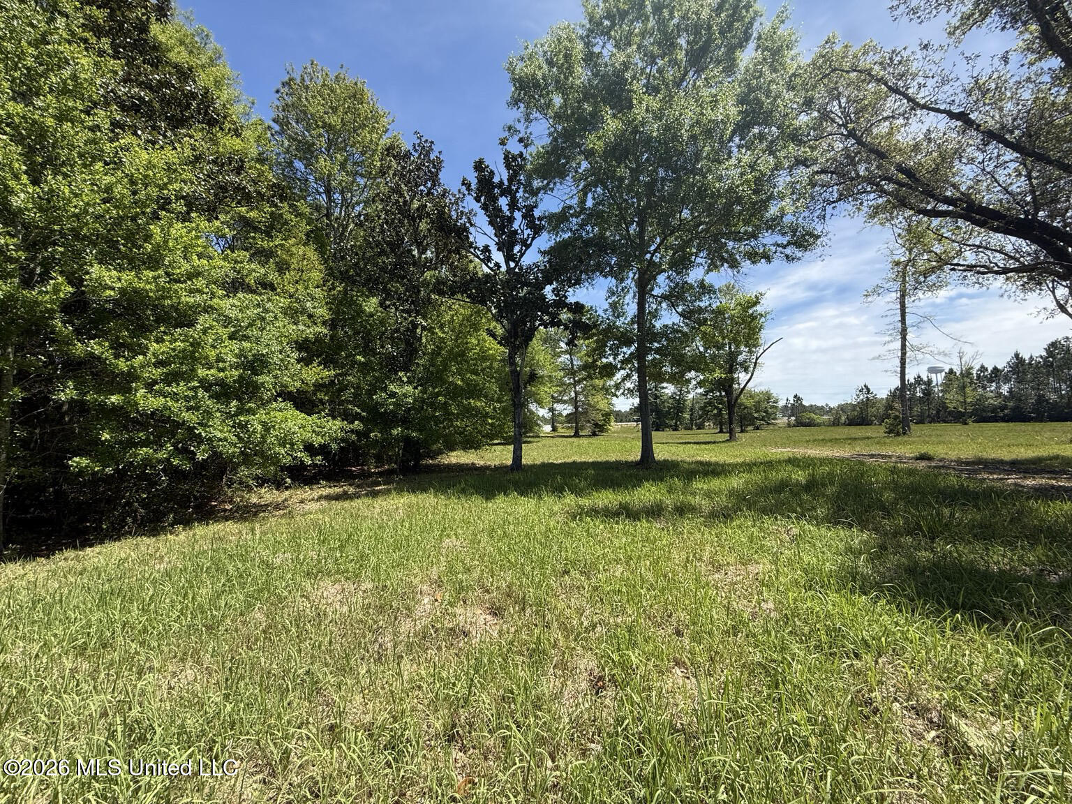 8301 Hwy 57 Property Photo 12
