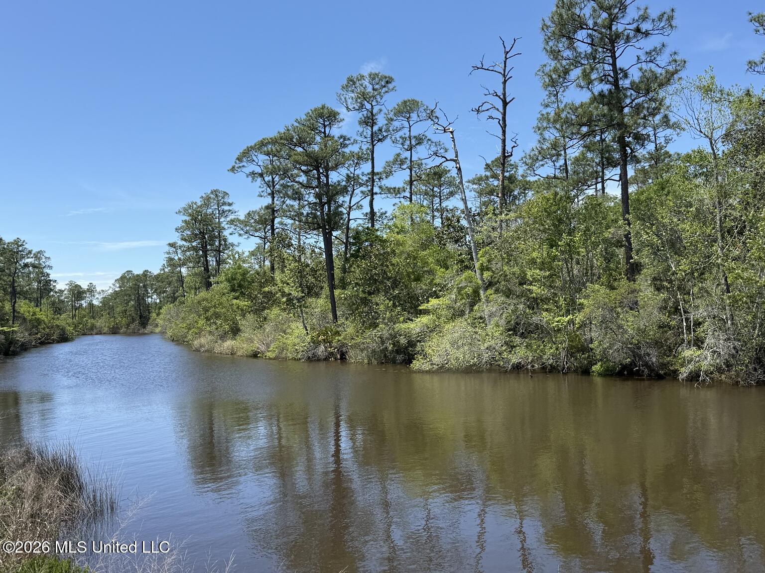 8301 Hwy 57 Property Photo 13