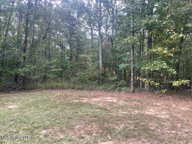 Ivy Lane Property Photo 2