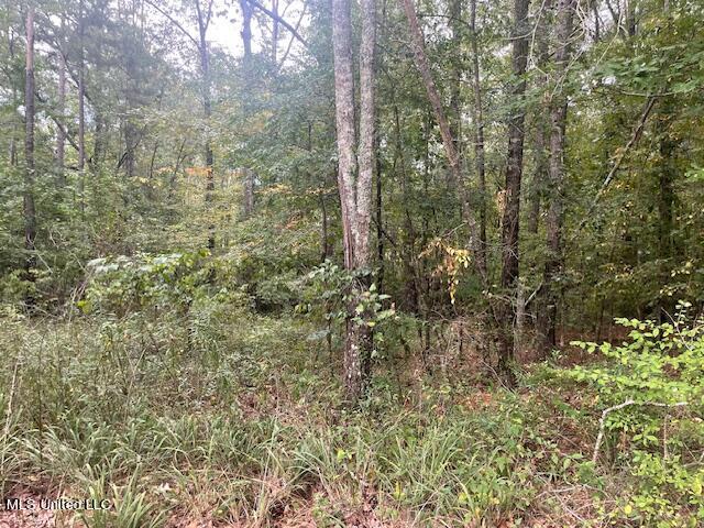 Ivy Lane Property Photo 3