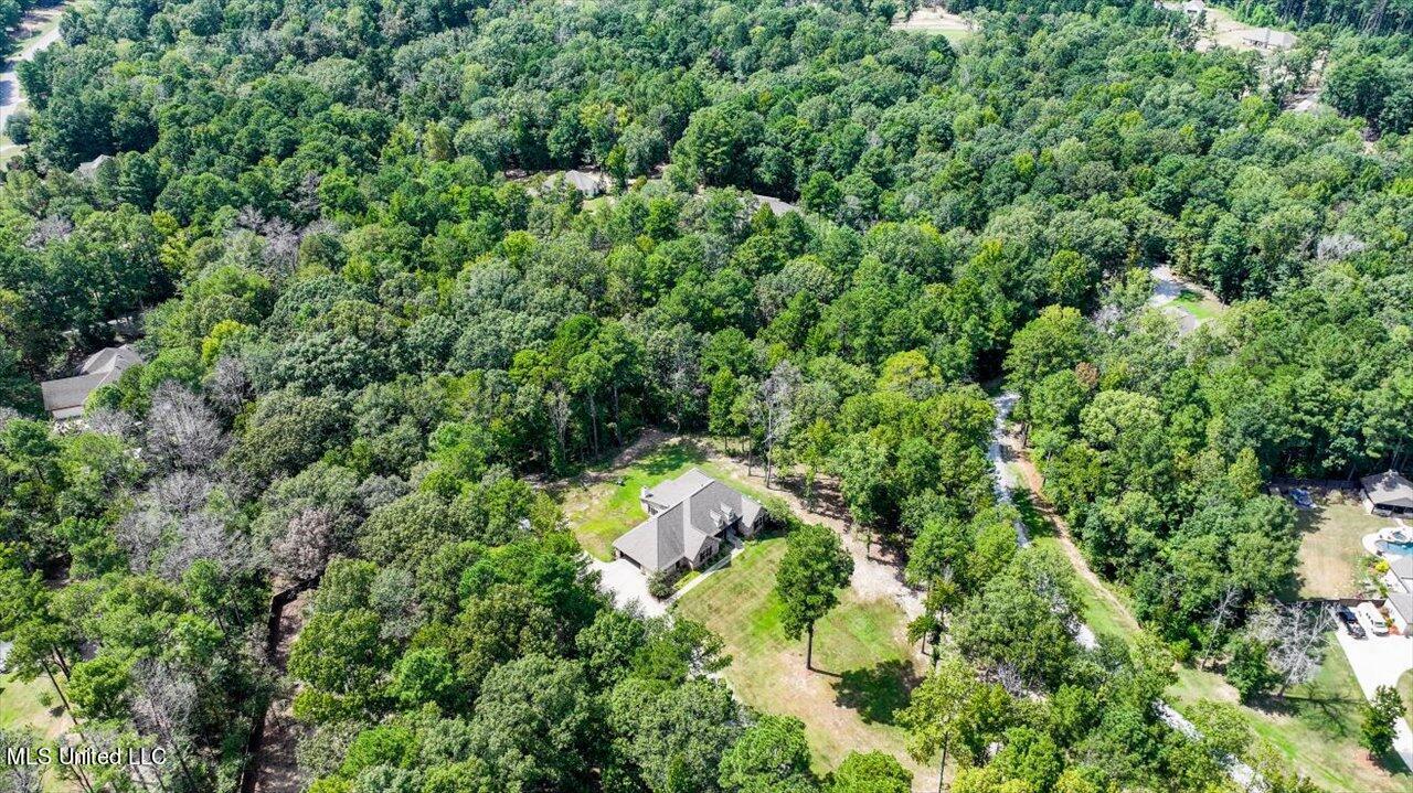 Ivy Lane Property Photo 11