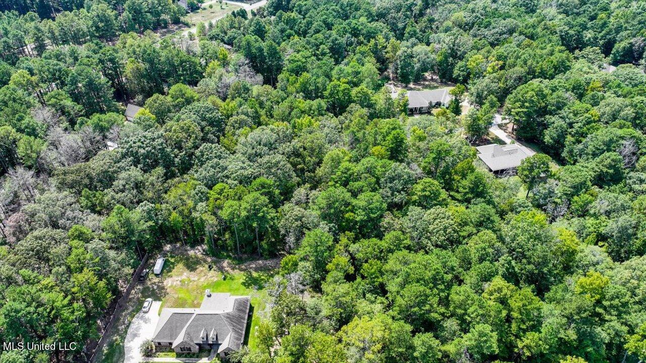 Ivy Lane Property Photo 14