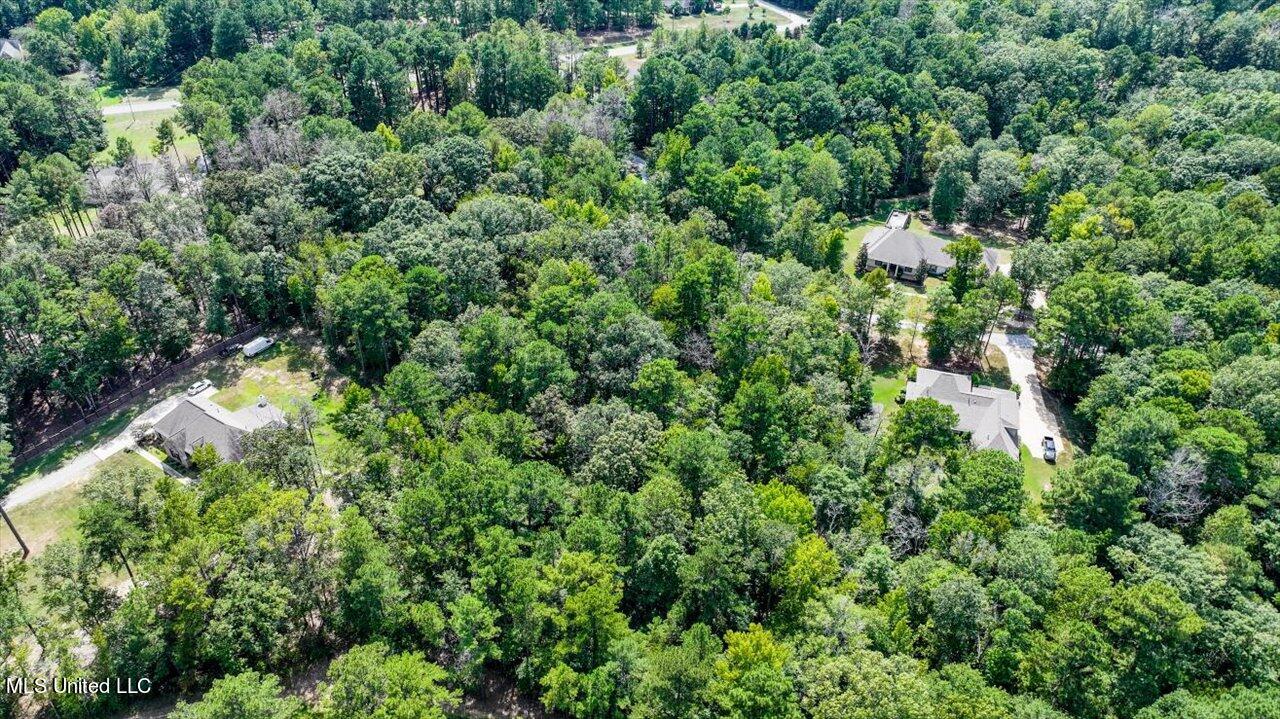 Ivy Lane Property Photo 15