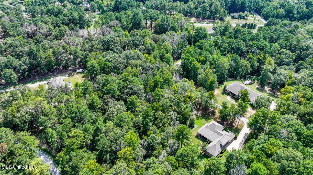 Ivy Lane Property Photo 16