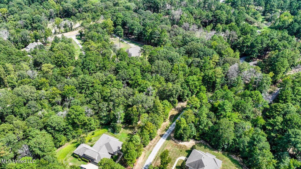 Ivy Lane Property Photo 17