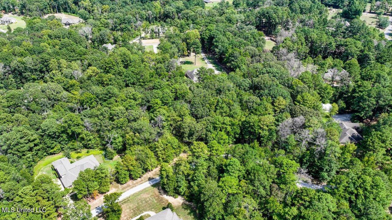 Ivy Lane Property Photo 18