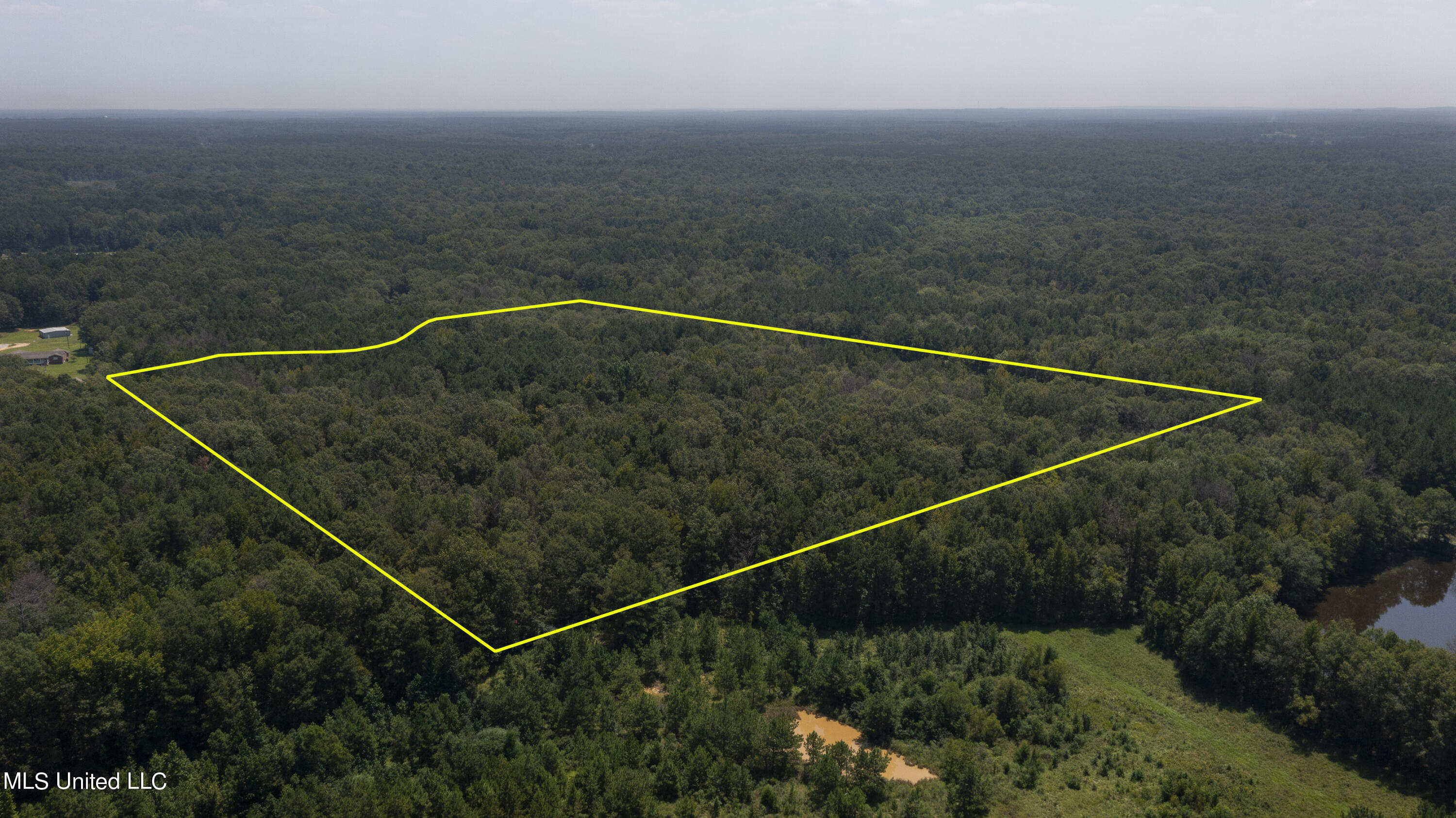 Jamison Court Property Photo 12