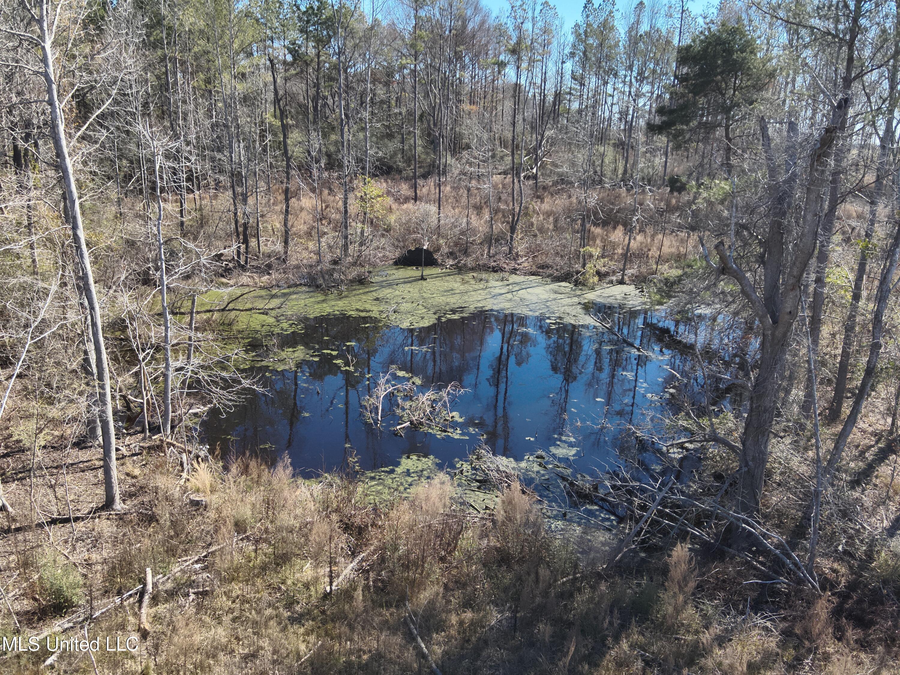 161 S S Co Road 116 A Property Photo 5