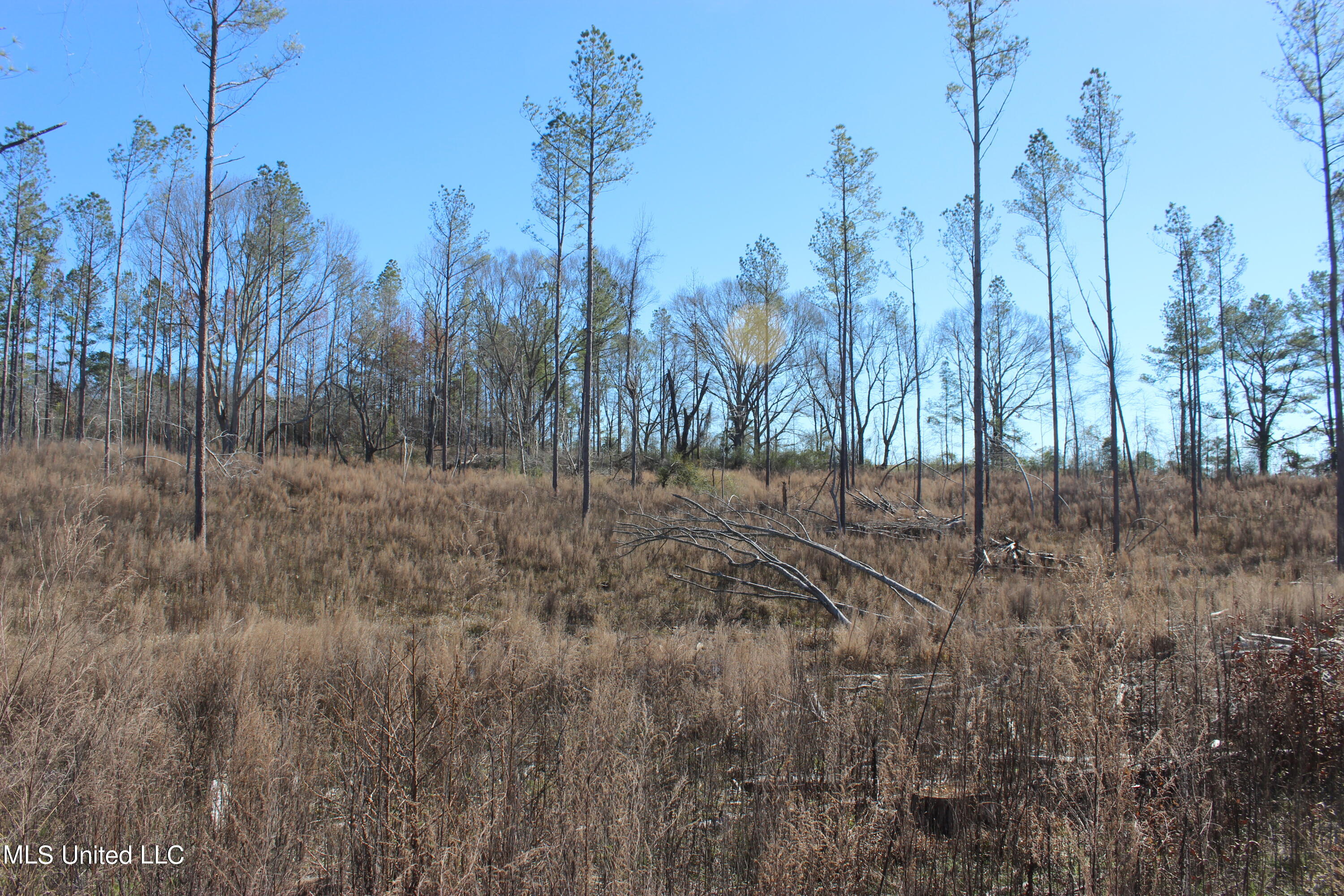 161 S S Co Road 116 A Property Photo 8