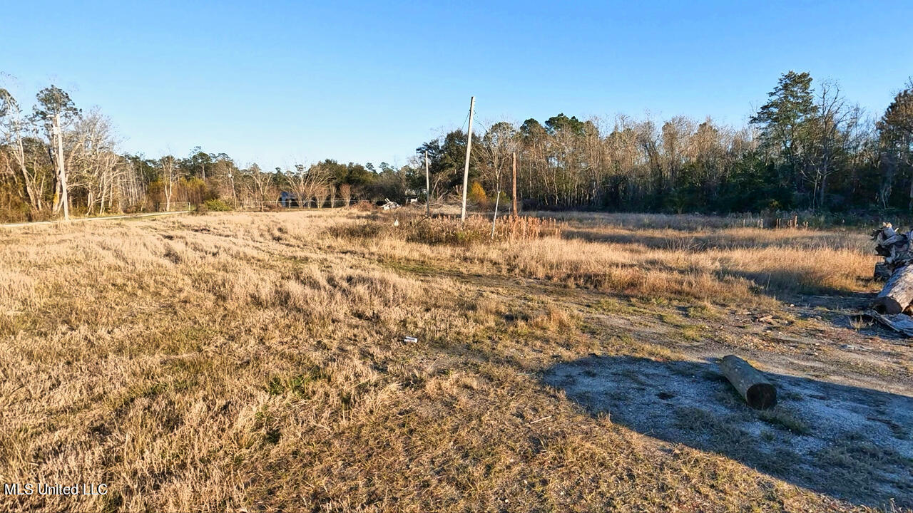 13100 Hudson Krohn Road Property Photo 3
