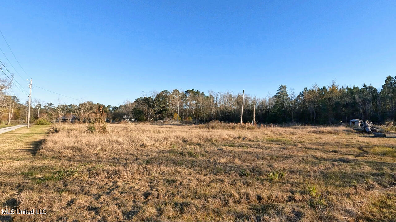 13100 Hudson Krohn Road Property Photo 4
