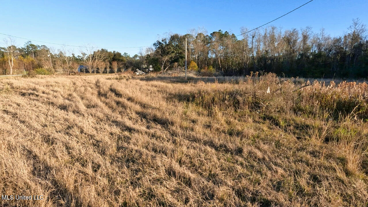 13100 Hudson Krohn Road Property Photo 5
