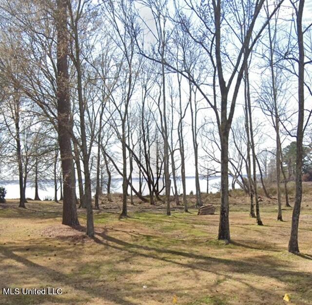 81 Grand View Circle Property Photo 4
