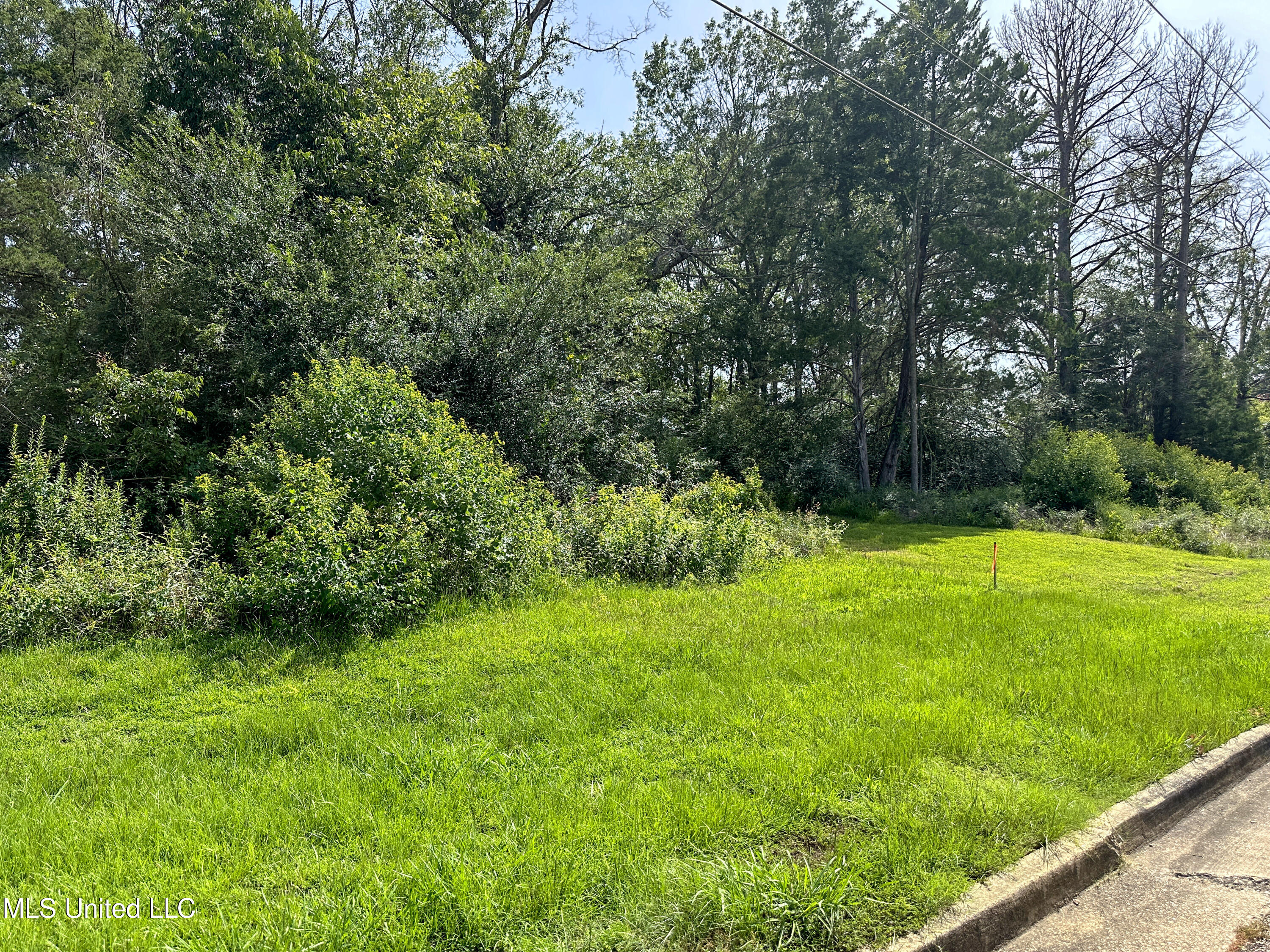 109 Woodchase Park Drive Property Photo 1
