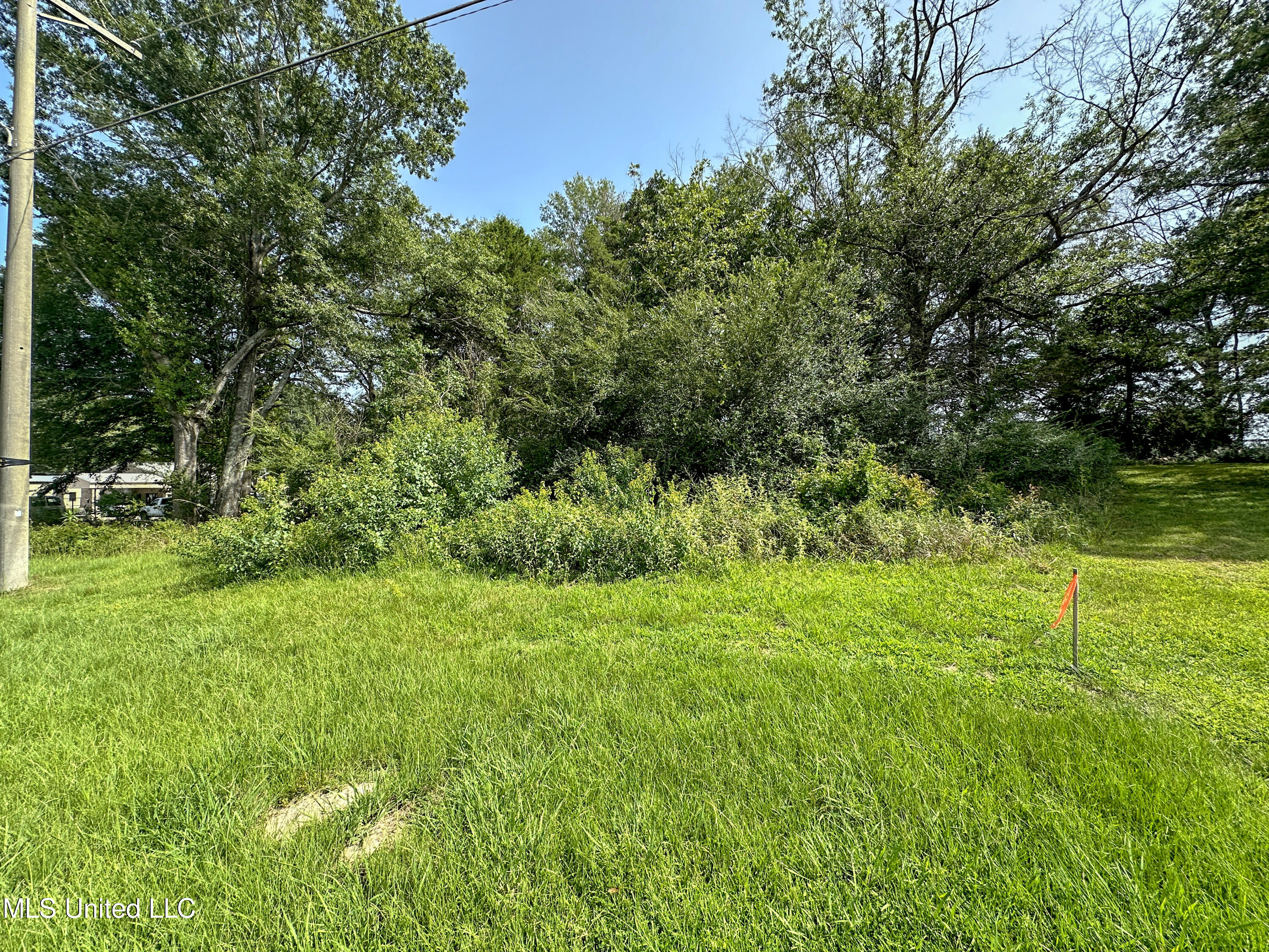 109 Woodchase Park Drive Property Photo 2