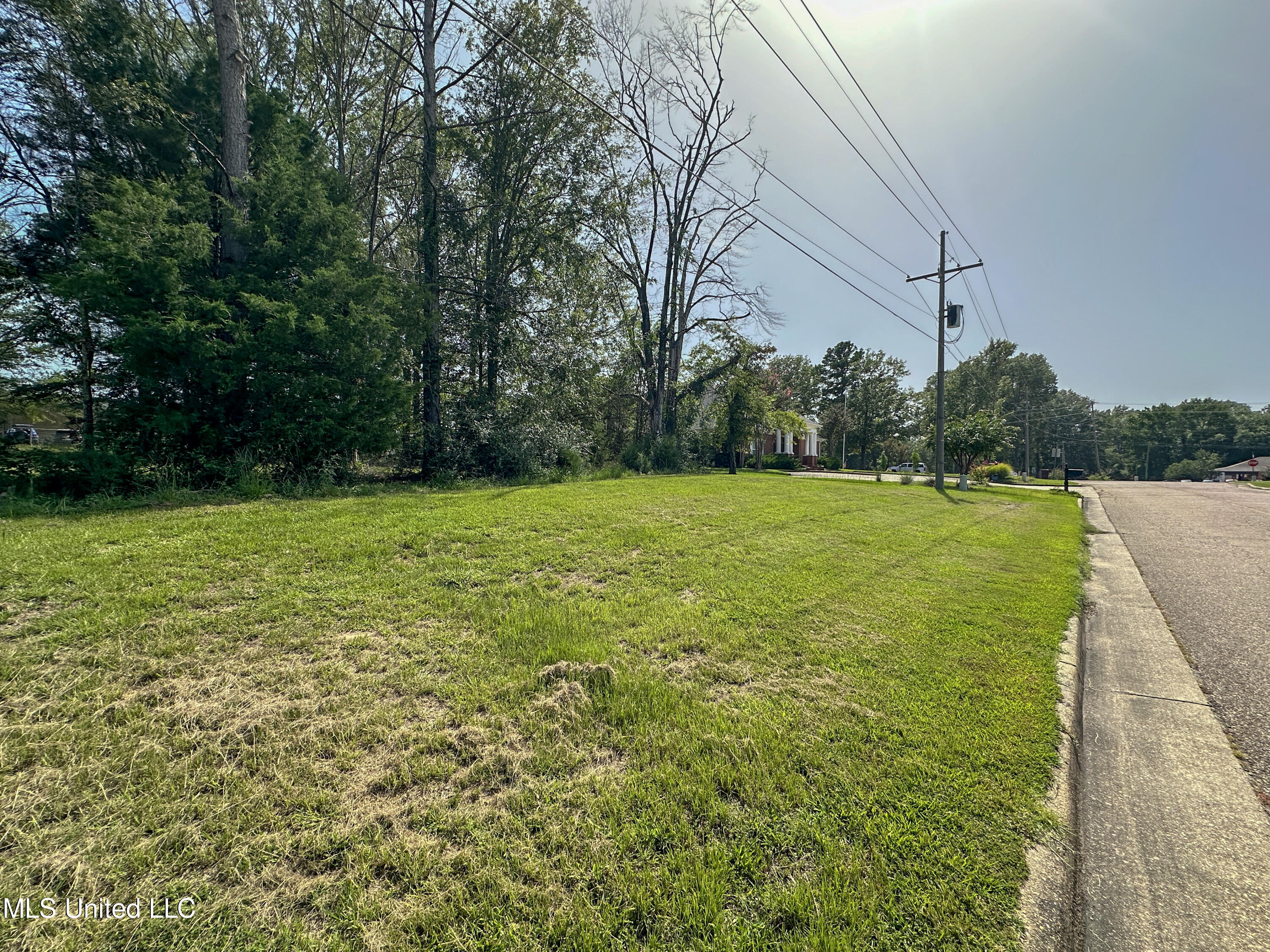 109 Woodchase Park Drive Property Photo 3