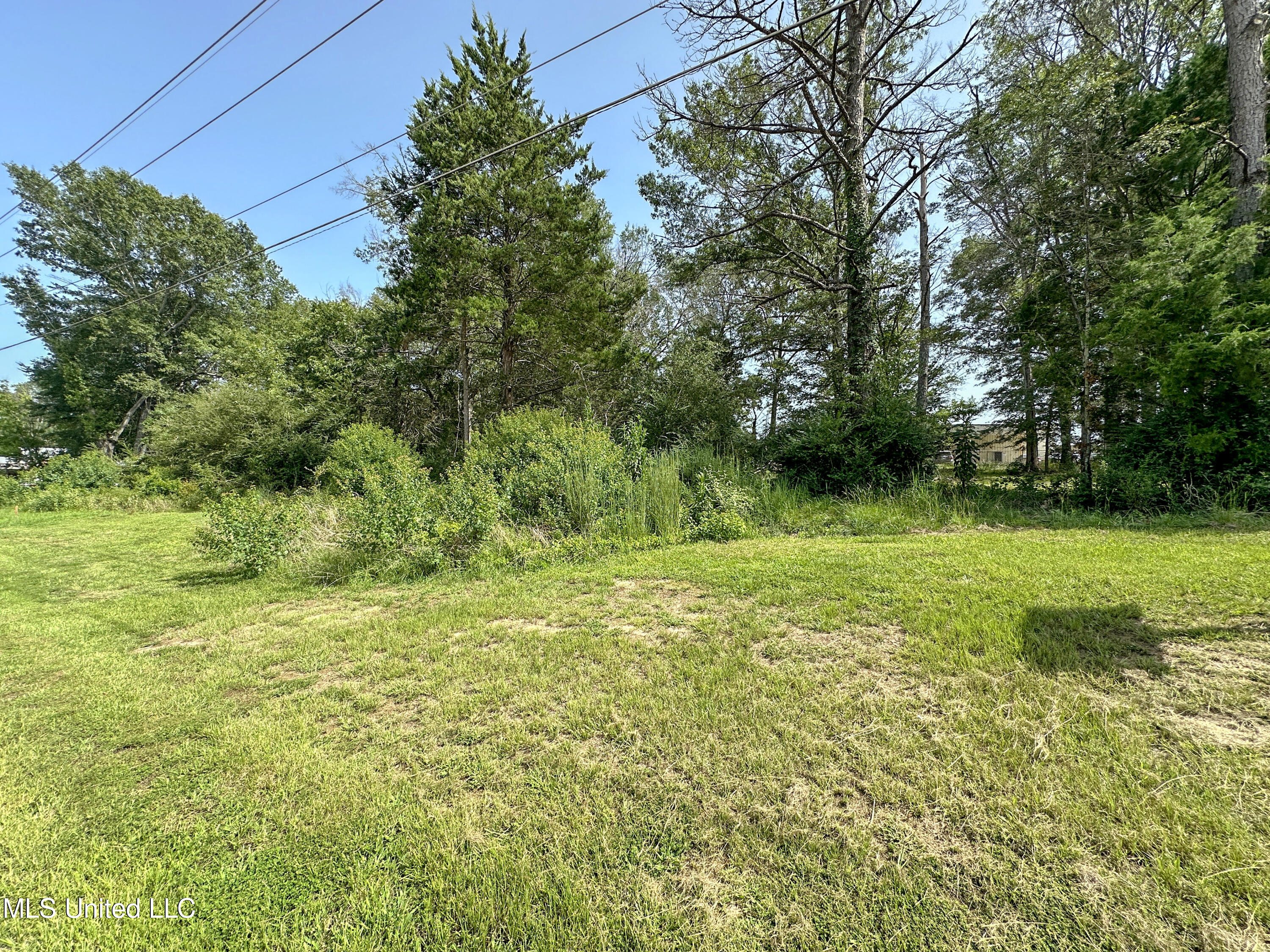 109 Woodchase Park Drive Property Photo 4