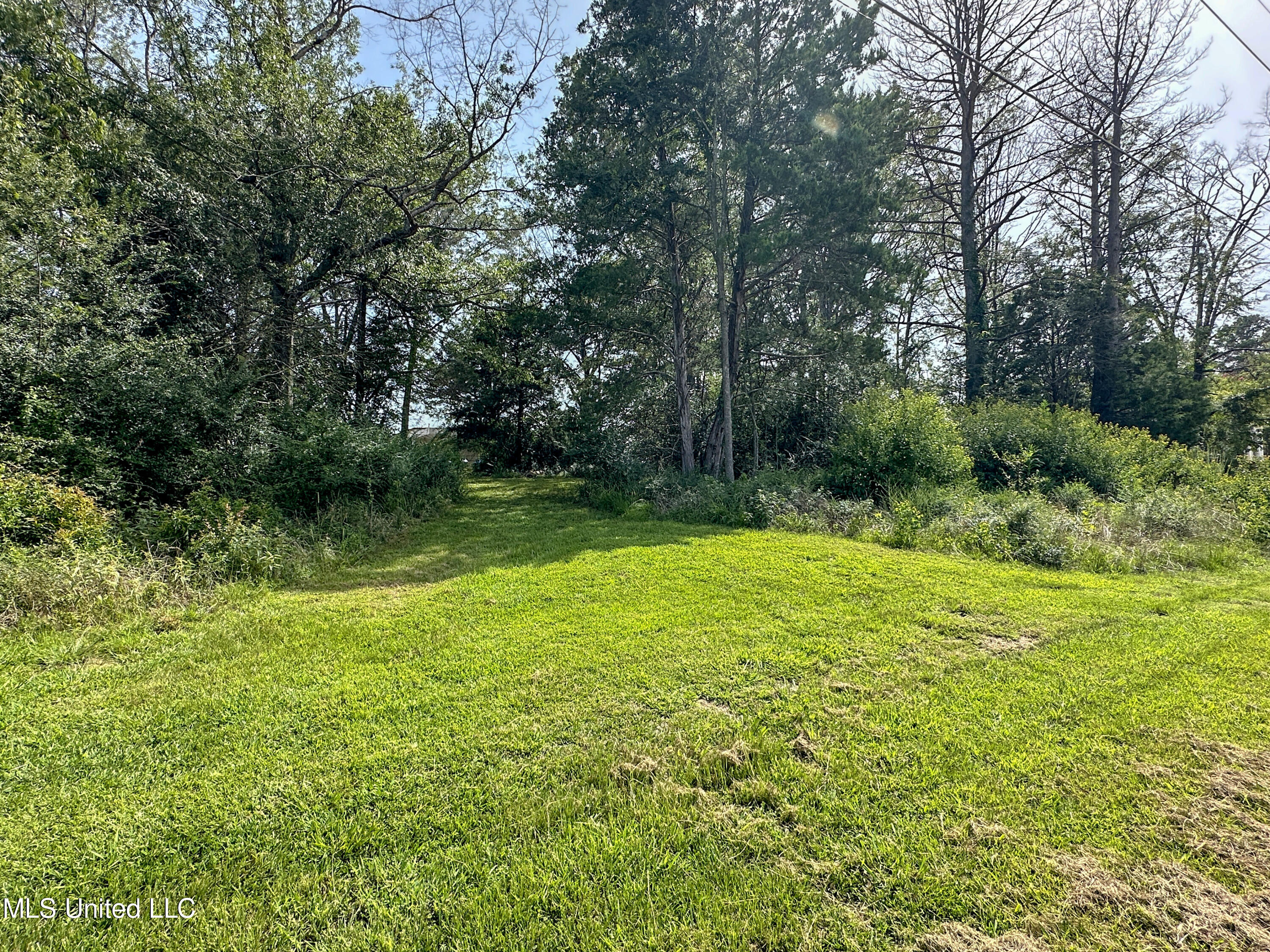 109 Woodchase Park Drive Property Photo 5