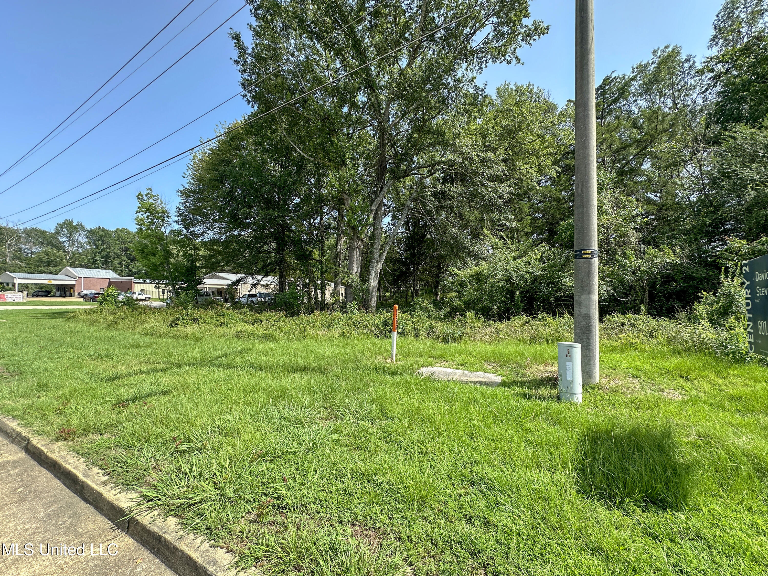 109 Woodchase Park Drive Property Photo 6