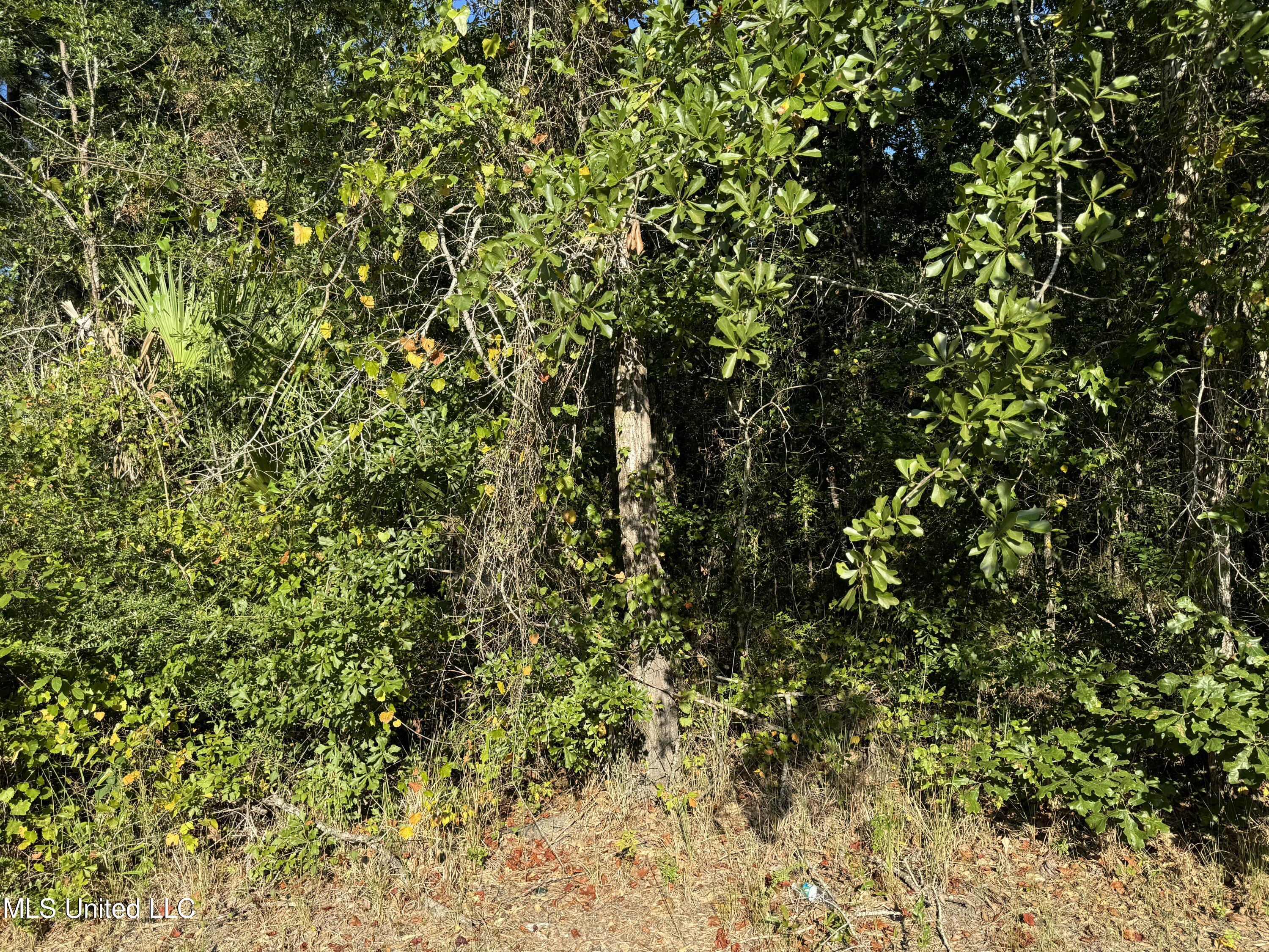Garfield Street Property Photo 1